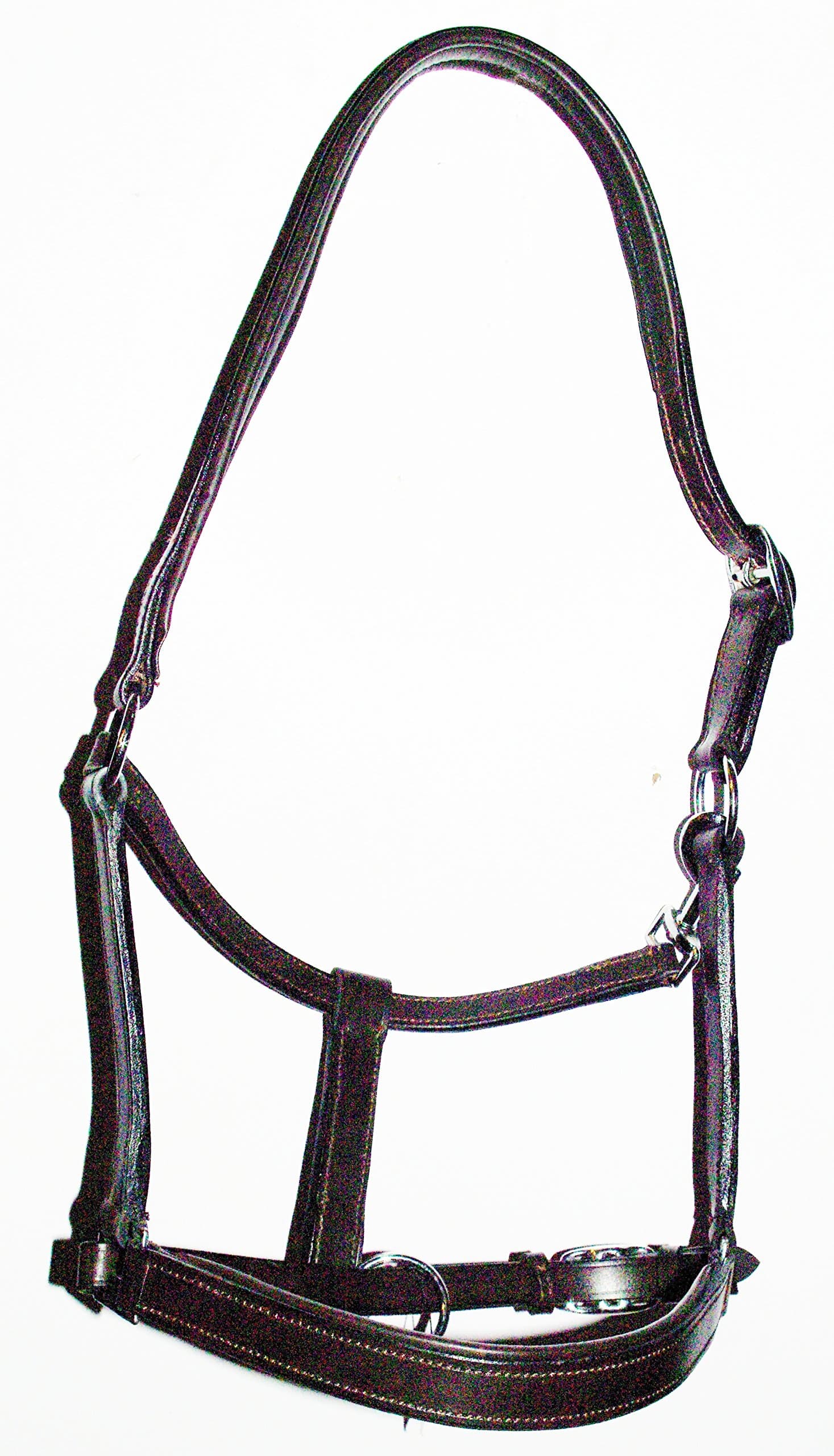 The Ragnar Collection Padded Leather Headcollar-Excellent Quality. Black & Havana in Pony,Cob & Full - FREE UK DELIVERY (HAVANA, COB)