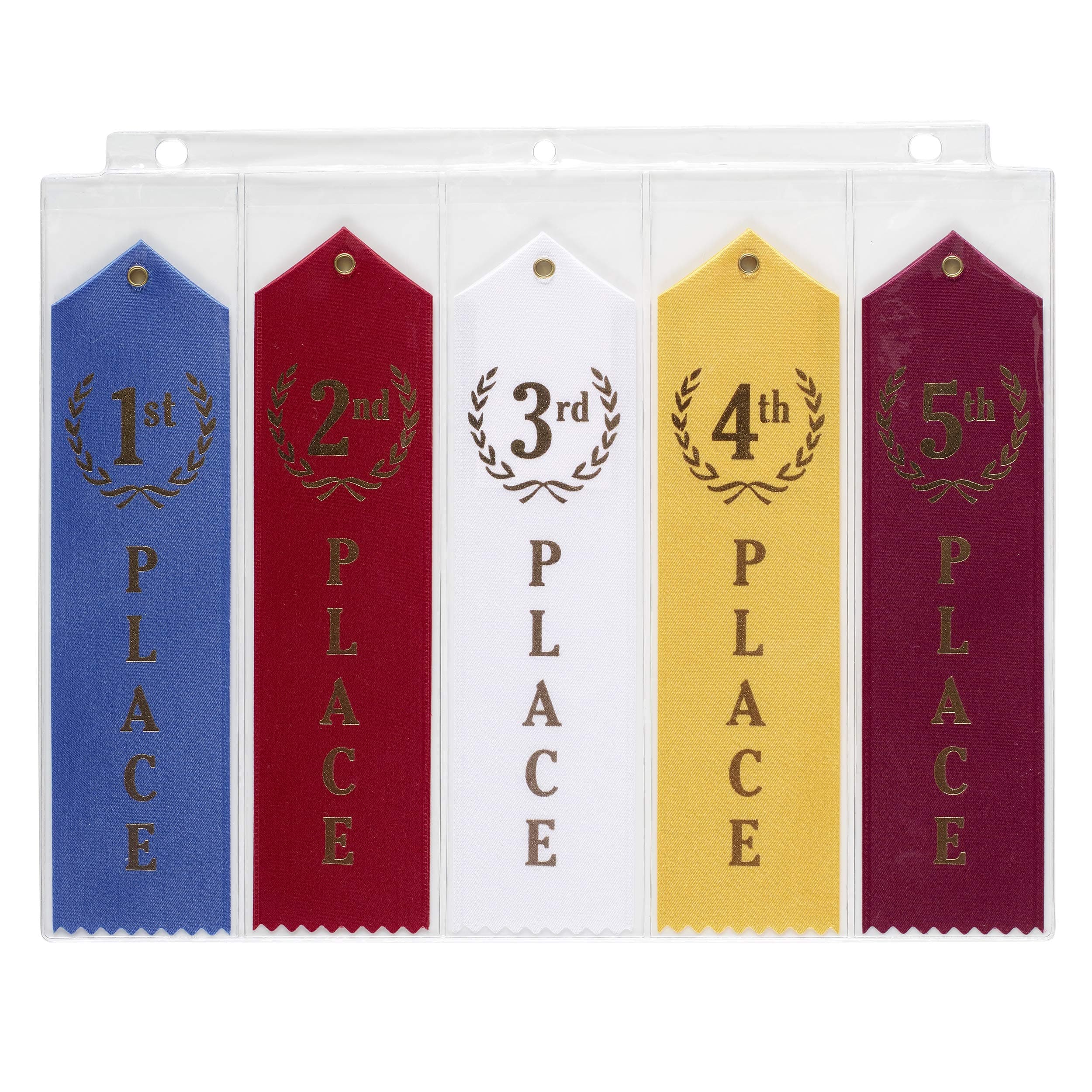 10 Swimming Ribbons Organizer Storage PAGES Award Ribbon Holder Display Gift Swim Gymnastics Track and Field by Mercurydean