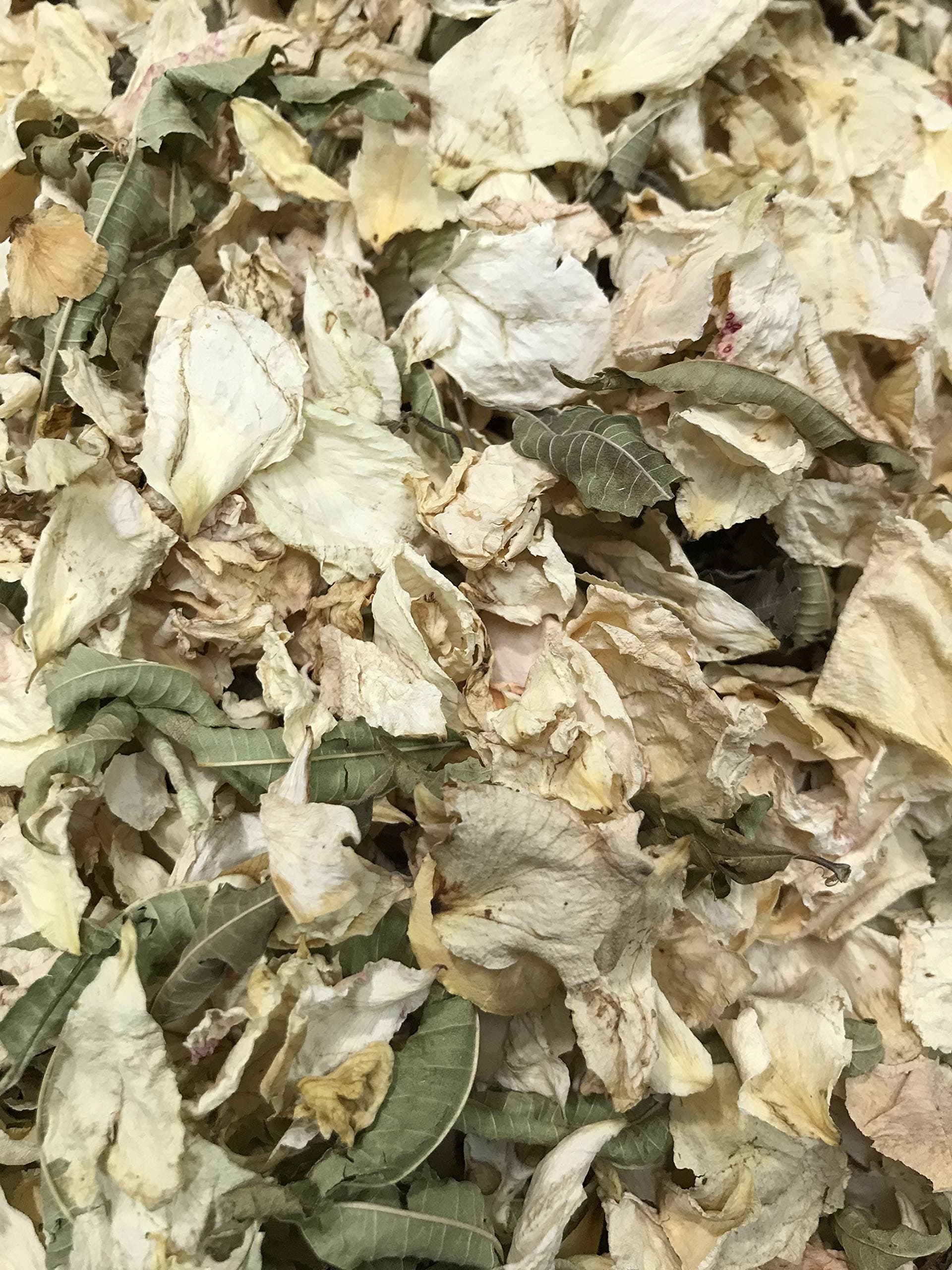 Stripey Finds 1 Litre bag of cream rose petal and lemon verbena natural biodegradable wedding confetti - suitable for 10-12 Guests (46)