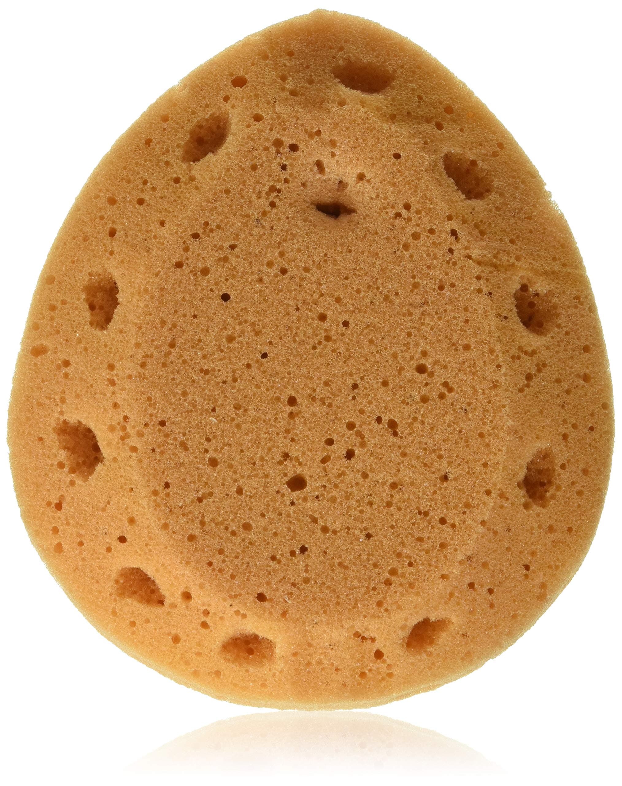 Cleanlogic Foam Sea Sponge