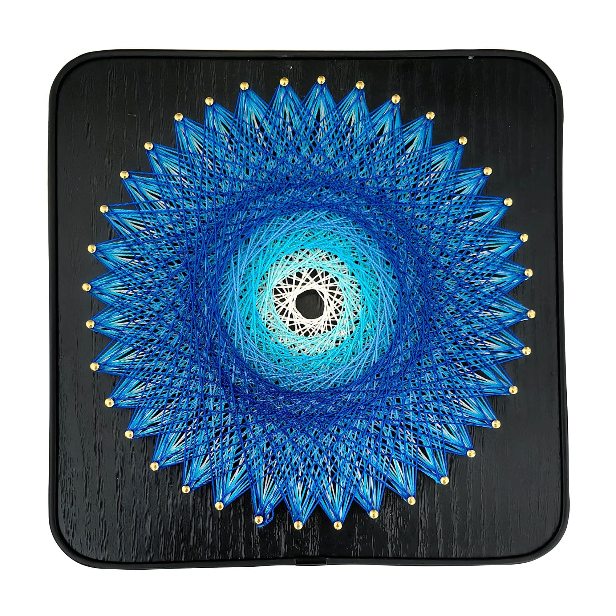 String Art DIY Crafts Kits for Adults Beginner Unique Women Gift (Bird Nest 8 * 8inches)