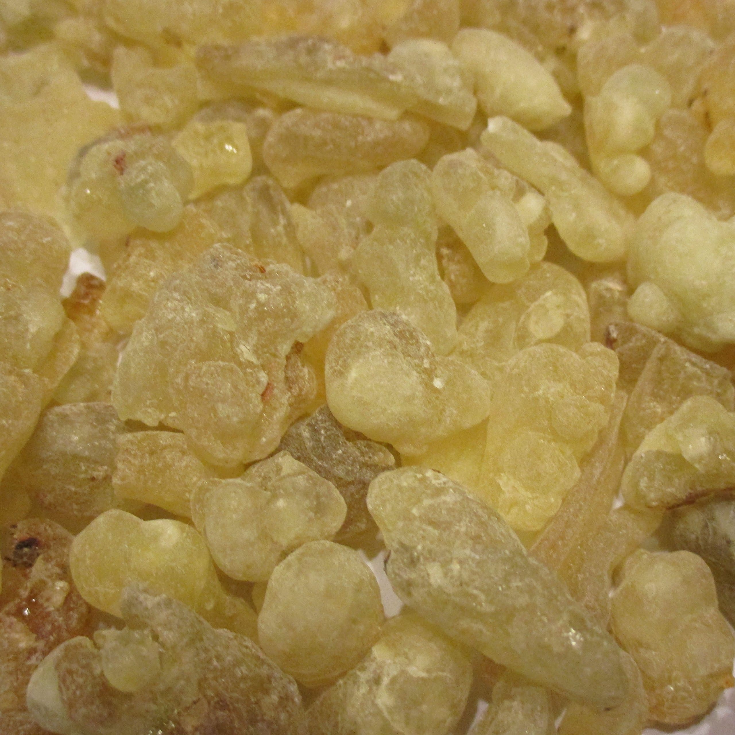 Superior Hojari Frankincense from Oman - Boswellia Sacra - 2 oz