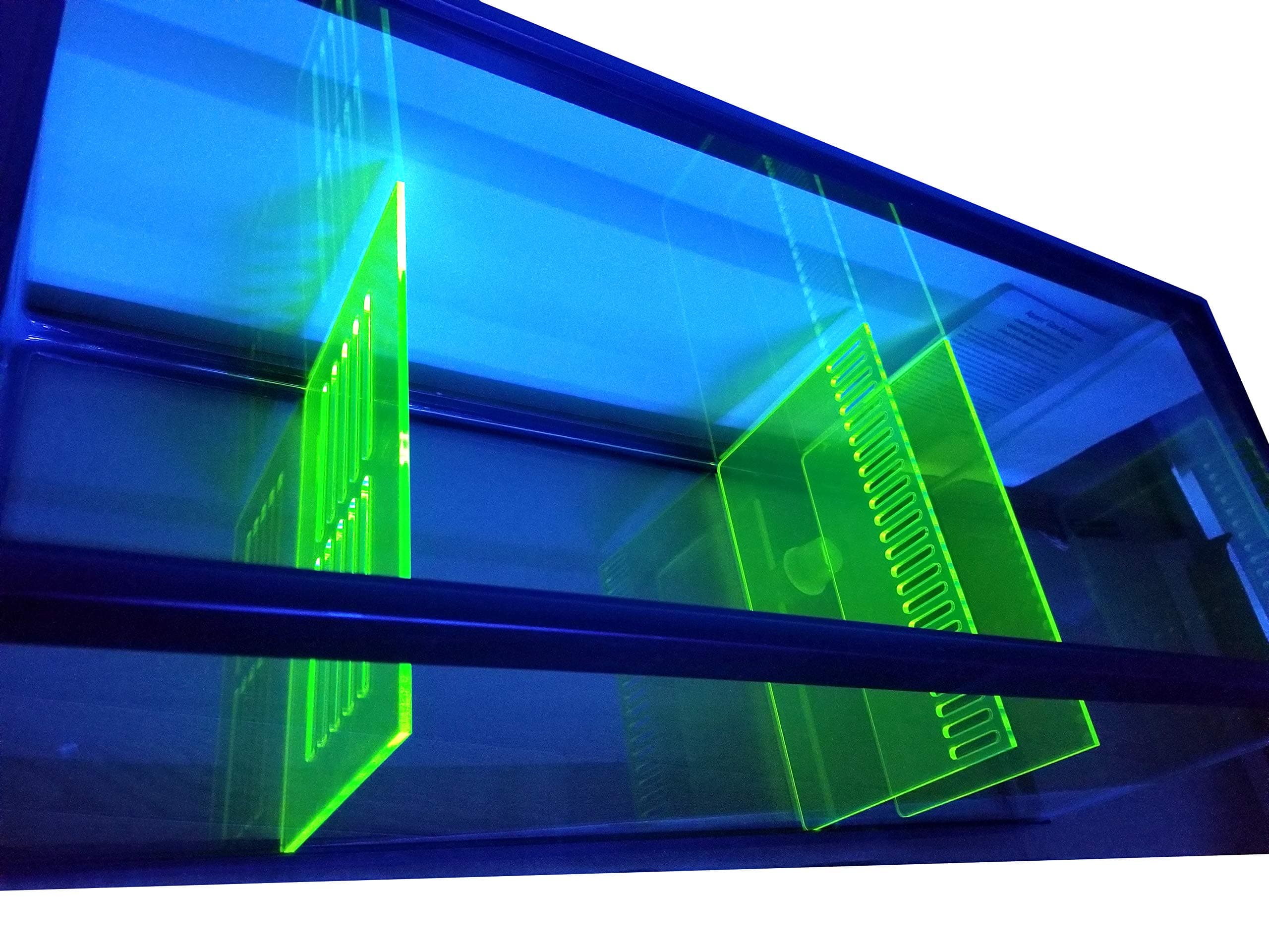 Bubblefin Aquarium Sump Refugium DIY Kit for Protein Skimmer Sump - Chamber dividers (20 Gal-Green)