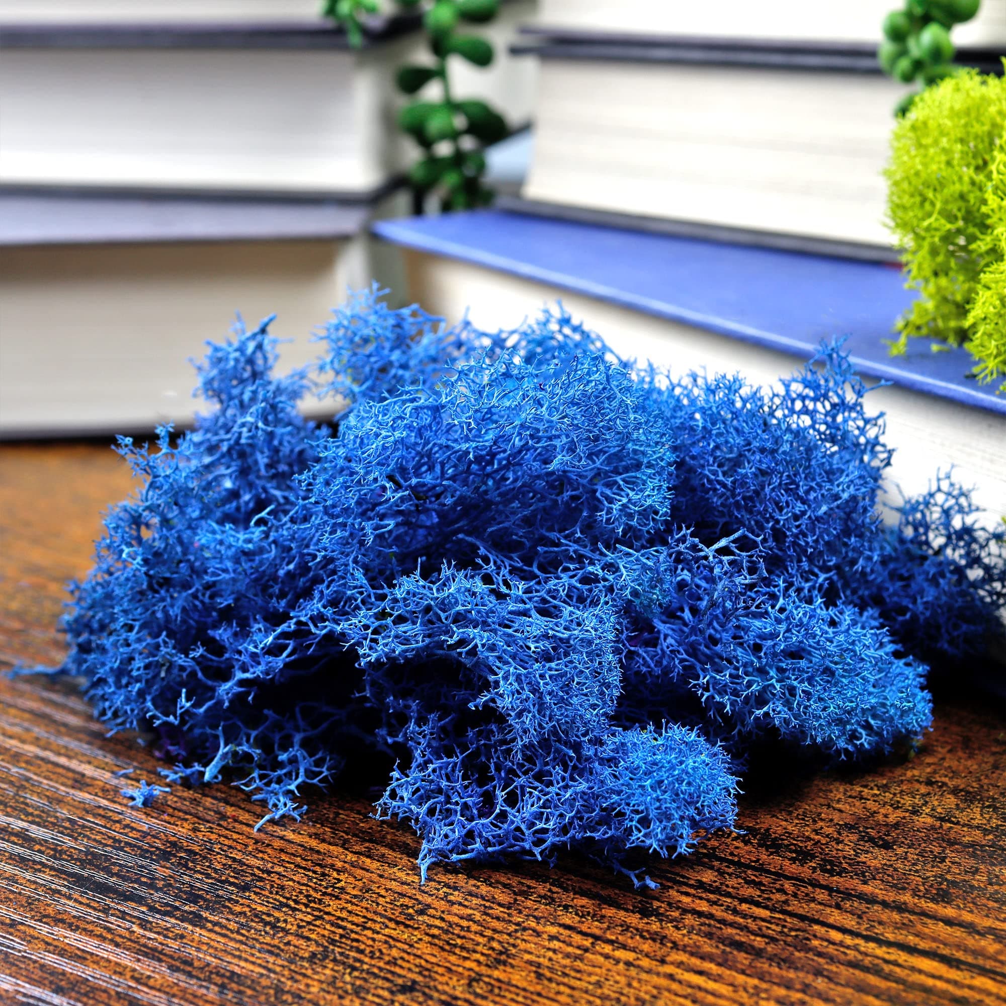 NW Wholesaler Bright Blue Colored Preserved Reindeer Moss - 2 oz - Indoor Outdoor for Potted Plants, Terrariums, Fairy Gardens, Arts and Crafts or Floral Decor Design