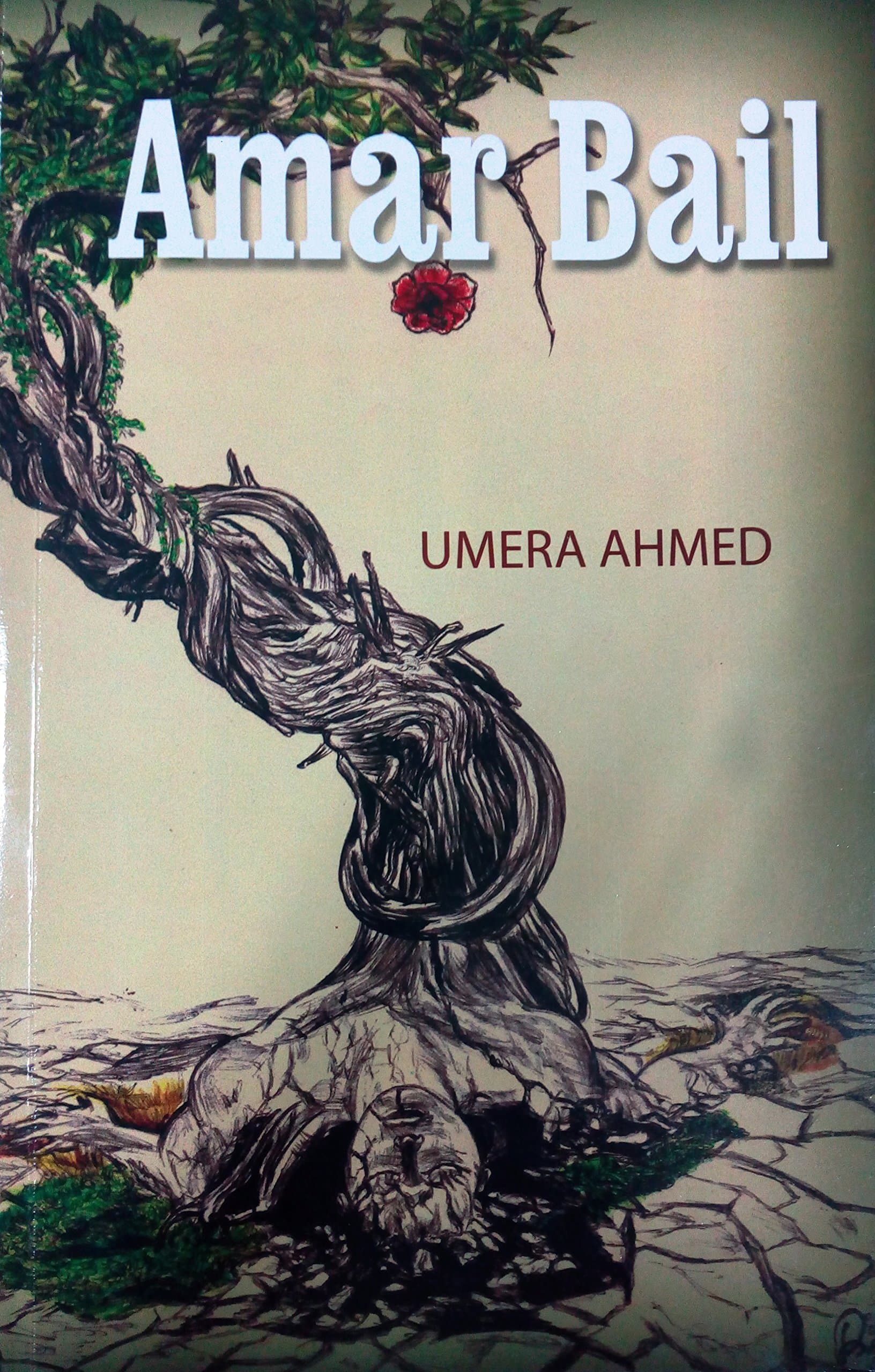 AMMAR BAIL ENGLISH TRANSLATION BY : UMERA AHMED [Paperback] [Jan 01, 2014] UMERA AHMED Paperback – January 1, 2014