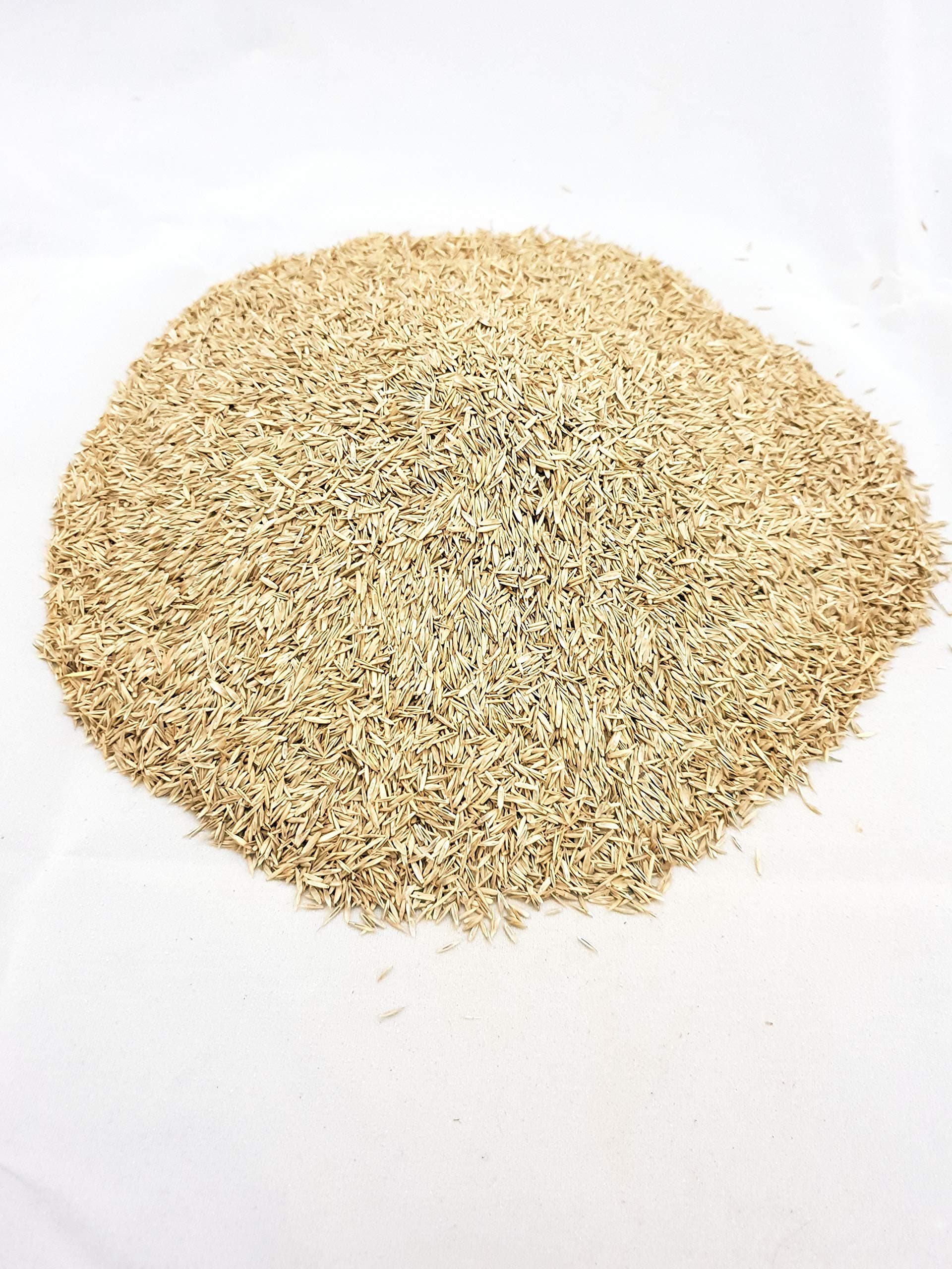 Maltbys' Stores 1904 Limited Backlawn Hard Wearing Lawn Grass Seed 200 g