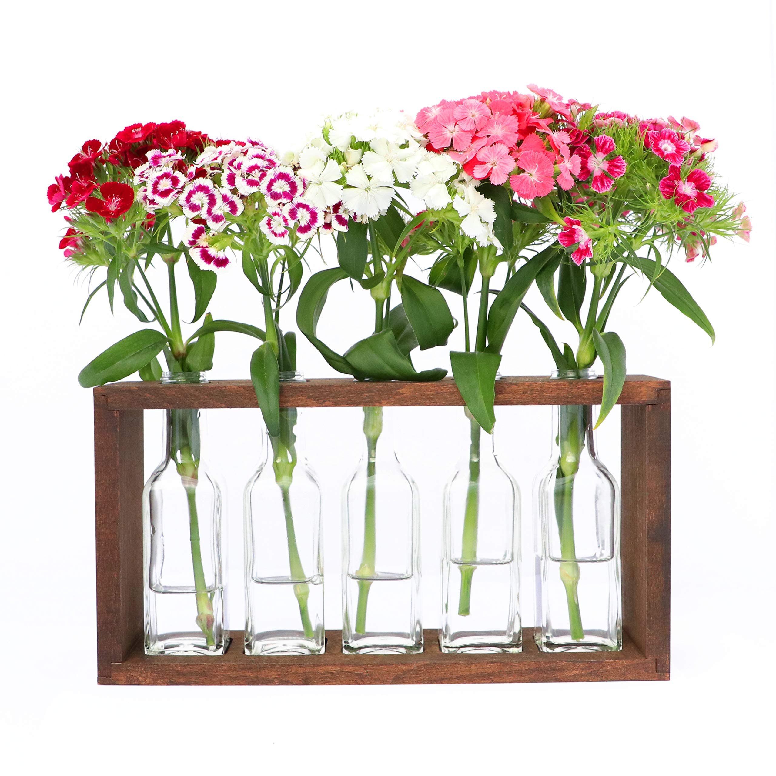 The Mammoth Design Flower Vases Bud Pots in Wooden Rack | Rustic, Vintage Home Decor | Windowsill Accessory, Wedding, Kitchen, Dining Table Centerpiece