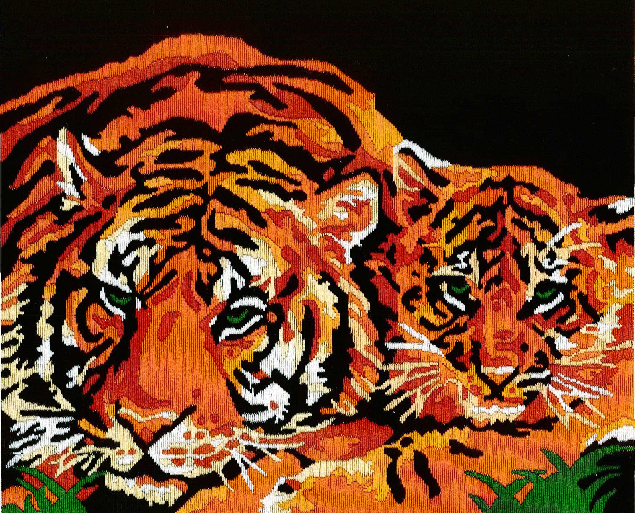 Anchor Stitch Kit - Ferocious Stripes