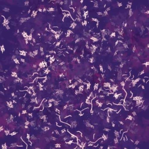 Nerchau Home Art Acrylic Varnish 100 ml, Assorted Colours, Acrylic Paint