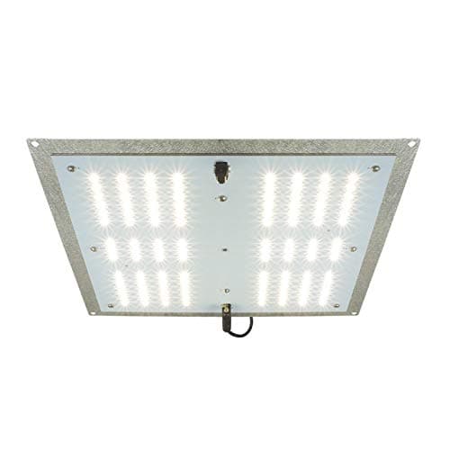 RAW 65 Full Spectrum LED Grow Light - 4000K Veg & Bloom with Samsung LM301B Chips & Meanwell Driver
