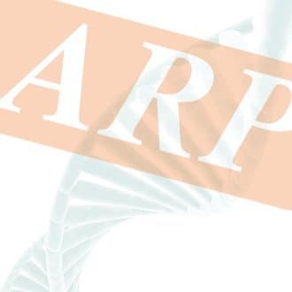 Prostaglandin F2 Alpha, PGF2a,, Human, ELISA