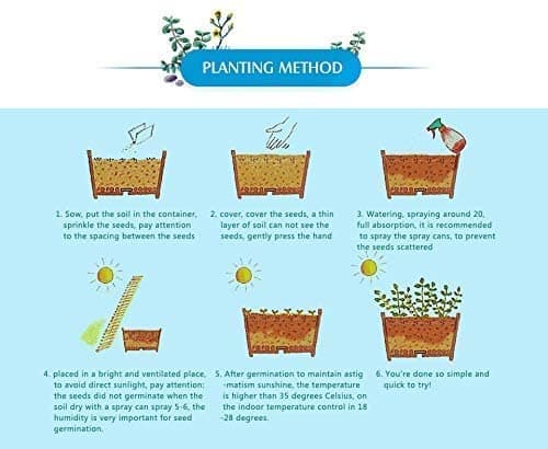 NooElec Seeds India Pink Climbing Rose All Season Flower Seeds (Pack Of Avg 20 Seeds)