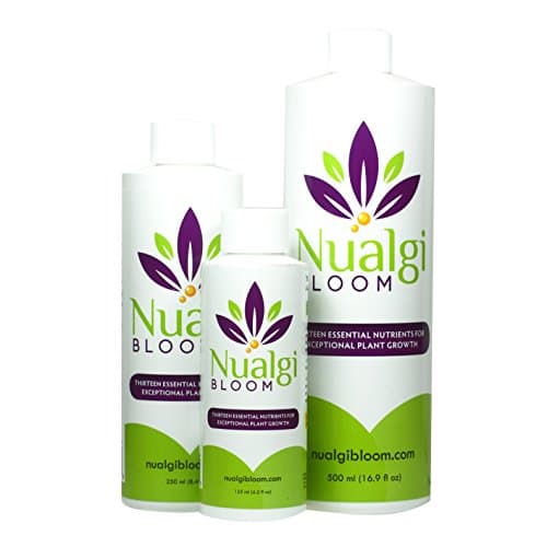 Nualgi Bloom (125 ml) - Foliar Fertilizer Spray for All Types of Plants
