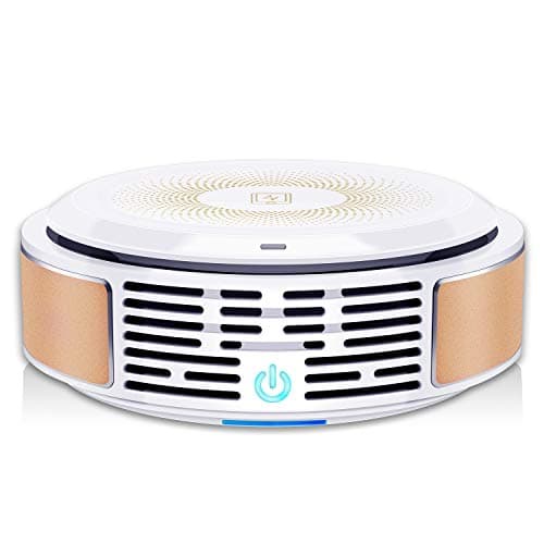 Air Purifier with True HEPA Filter, 3-in-1 Air Cleaner, Portable & Quiet, Eliminates Pollen, Dust, Pet Dander, Smoke, Mold, Germs, Odor Cleaner, for Allergies/Home/Office/Car/Pet Owner/Smoker