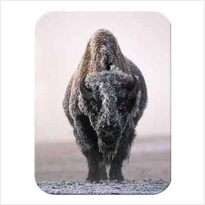 Tuftop Buffalo-Ghost of the Plains Cutting Board Size: Medium (12"x16")