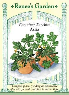 Container Zucchini Astia Seeds