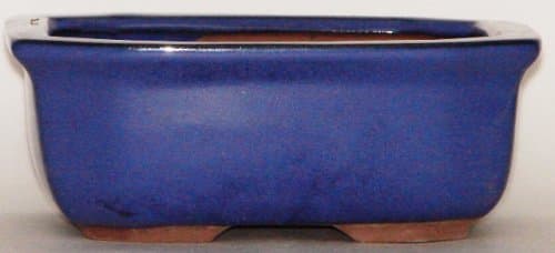 Buybonsai Bonsai Pot 7.75