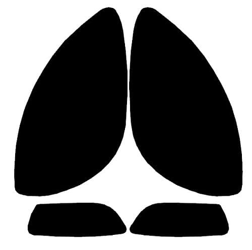 C6-HL-Fog - C6 Corvette Smoked Head & Fog Light Smoked Overlays Tinted Vinyl Film Headlight precut