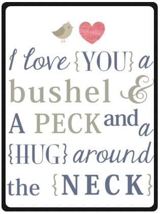 Funny Valentine's Day Gift - Love Quotes I Love You a Bushel and a Peck and a Hug Around the Neck 58" x 80" (Large) Fleece Throw Plush Blanket