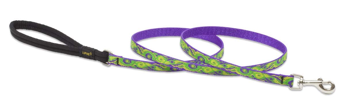 LupinePet Originals 1/2" Big Easy 6-Foot Padded Handle Leash for Small Pets