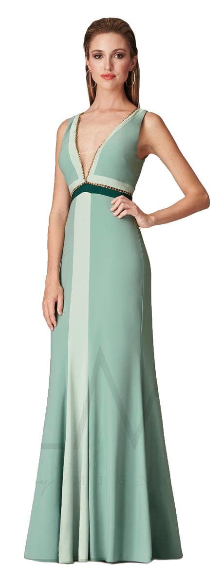 Mignon LM Collection CC329 Color Block Long Prom Dress, Moss, 6
