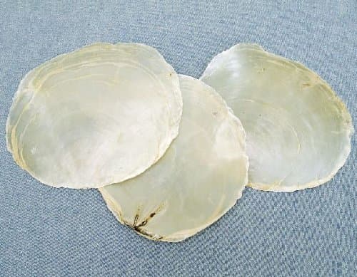 Mother of Pearl Shells 1 kg Approx. 9 – 11 cm