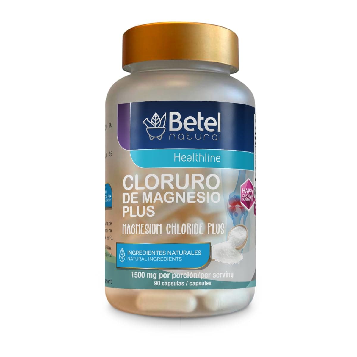 Magnesium Chloride Plus MSM, Glucosamine, and Chondroitin - 90 Capsules