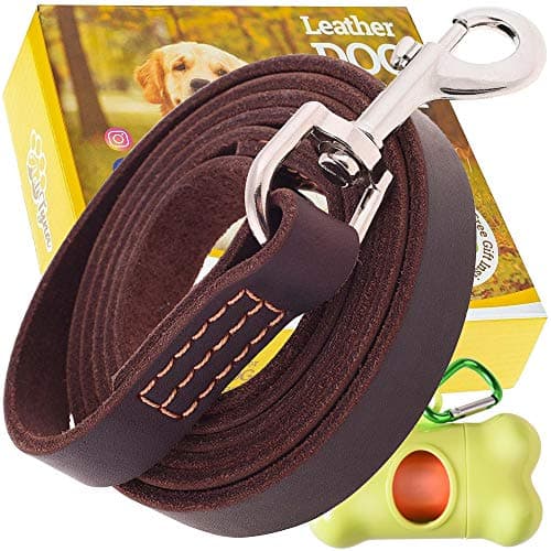 ADITYNA Leather Dog Leash 6 ft x 3/4" - Double Handle Dog Leash - Traffic Handle for Extra Control - Soft and Strong Leather Lead for Large and Medium Dogs (6 Foot x 3/4", Brown)