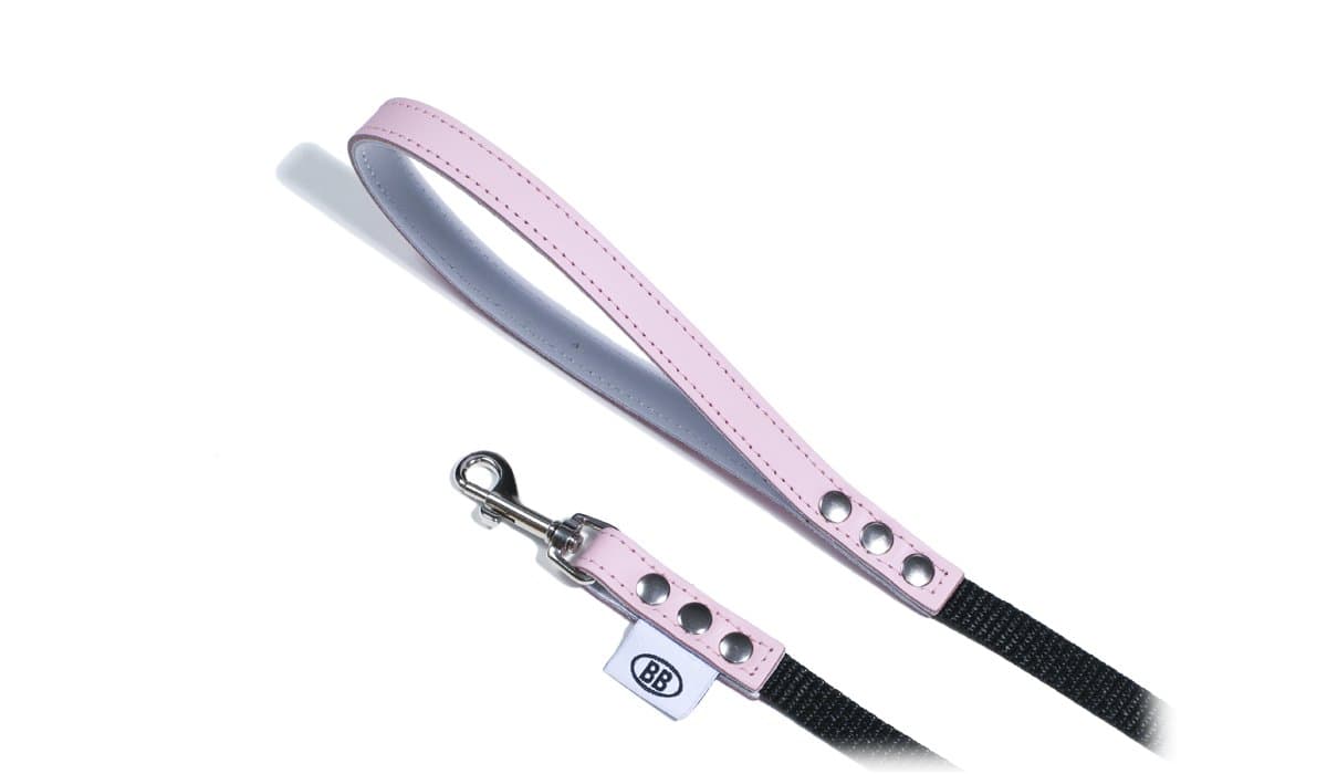 Classic Collection Accent Leather/Nylon Pet Leash, 1/2-Inch by 6-Feet, Pink