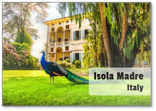 Peacock Isola Madre Lake Maggiore Piedmont Italy, Fridge Magnet