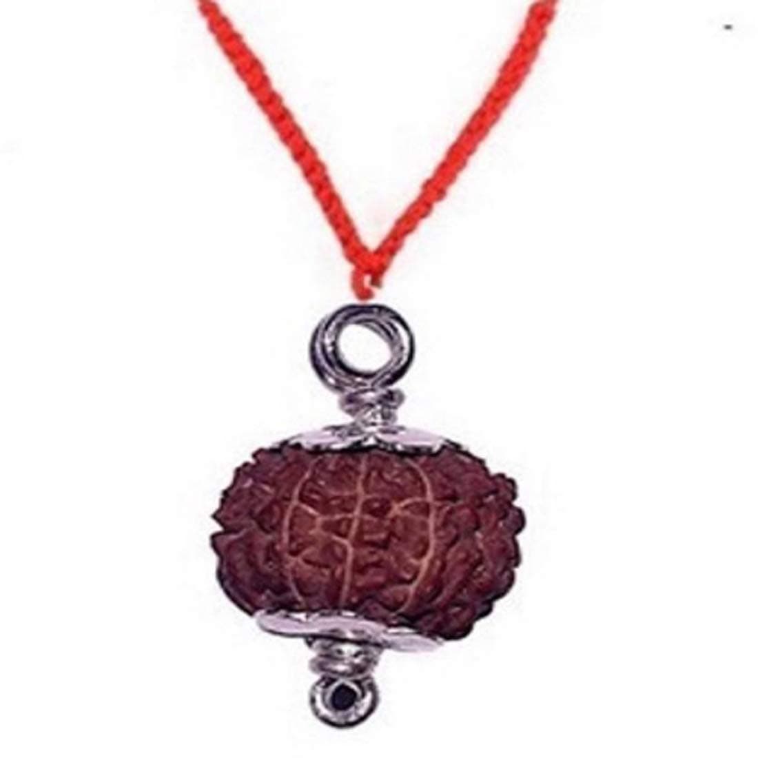 divya vedic sansthan Wood 9 Mukhi Rudraksha Bead with Certificate (Brown)