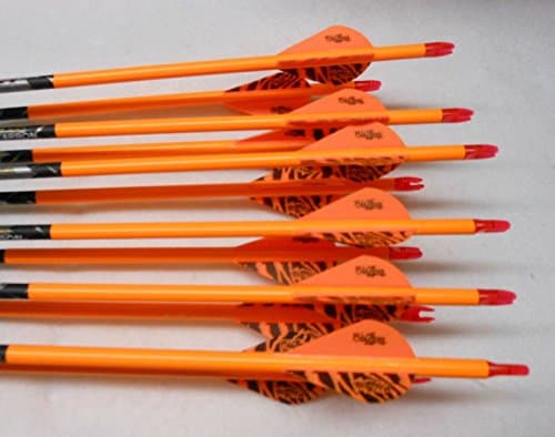 Carbon Express Maxima Red 250 Carbon Arrows w/Blazer Vanes Pathfinder Wraps 1 Dz.