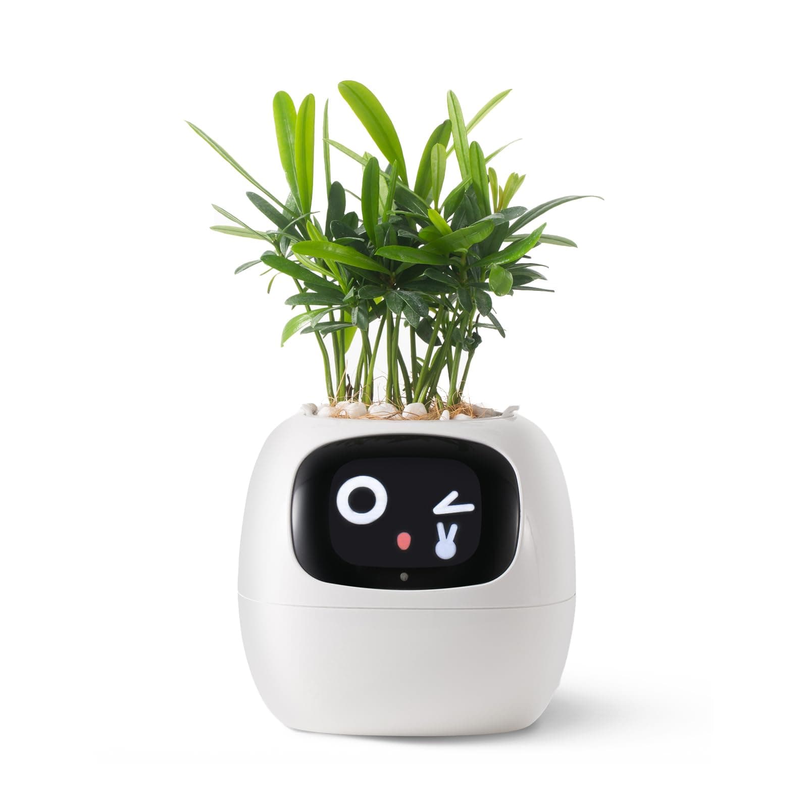 Smart Pet Planter Robot for Plant Care Guidance, Adorable Plant Companion with Rich Gesture Interaction, Clean Desktop Setup Gift