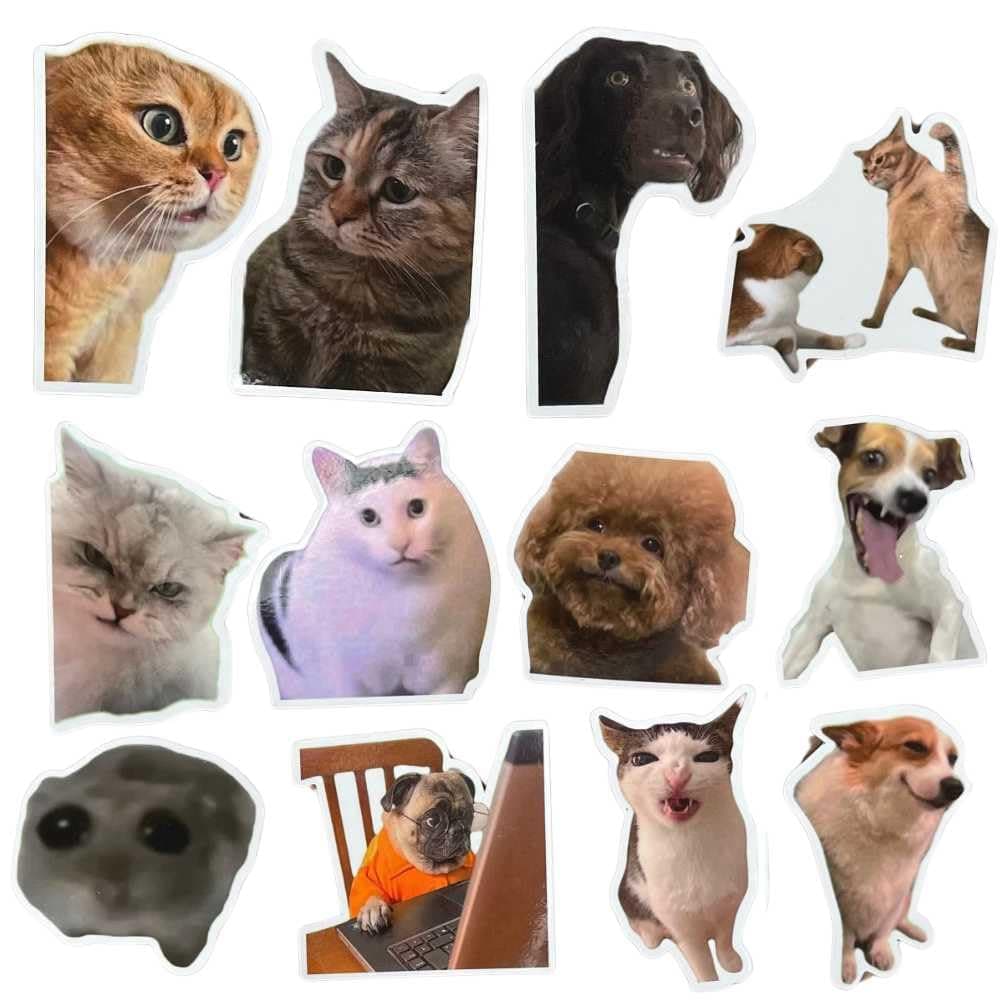 YJ PREMIUMS 12PC Funny Magnets Meme Animal Magnetic Magnet for Refrigerator Fridge Adults Work School Locker Office Car Bumper Decal Game r Kitchen Cute Cool Weird Fun Novelty Funky Gag Quirky Gifts
