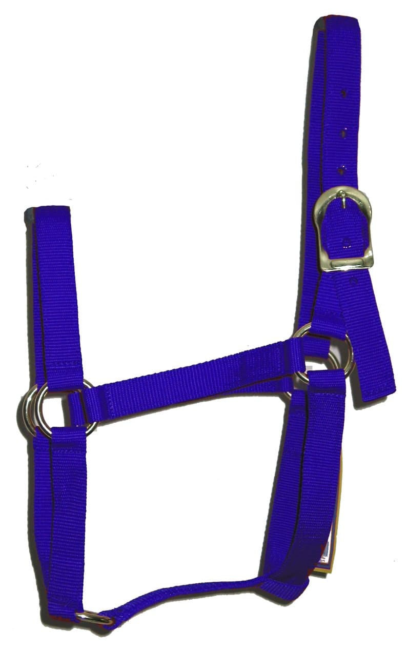 Animal Legends Polypropylene 1-Inch Horse Halter, Small, Fits 500 to 800-Pound Horse, Blue