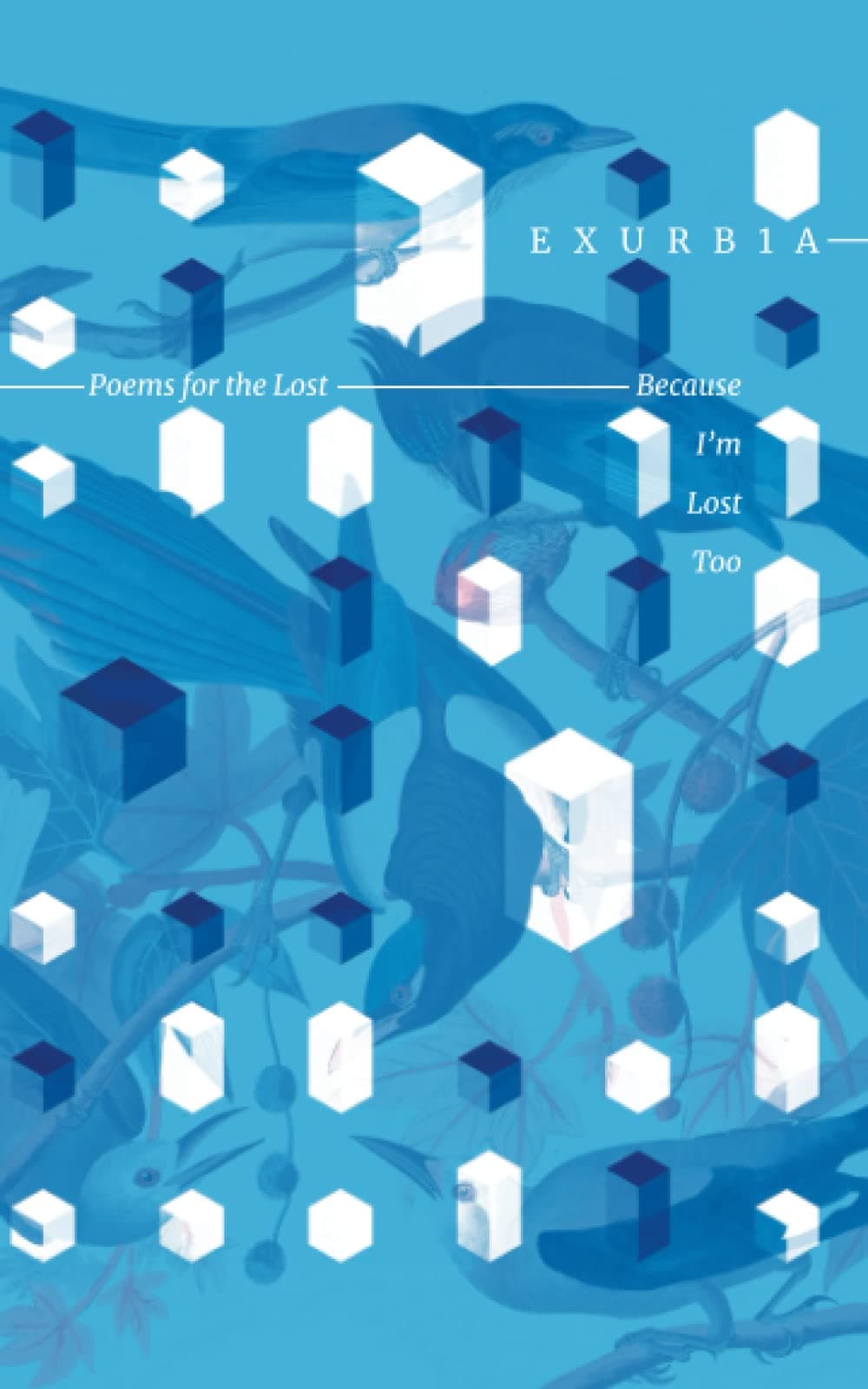 Poems for the Lost Because I'm Lost Too Paperback – 29 Nov. 2022