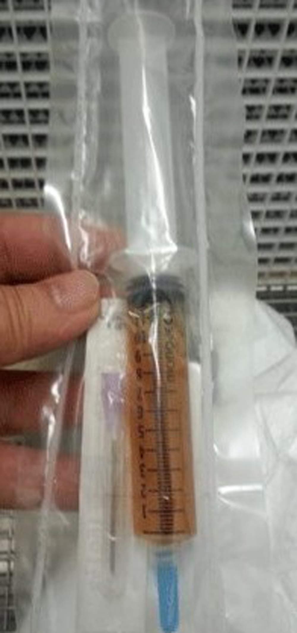 Mushroom Man LLC, Yellow Morel - Morchella Esculenta Liquid Culture Mycelium