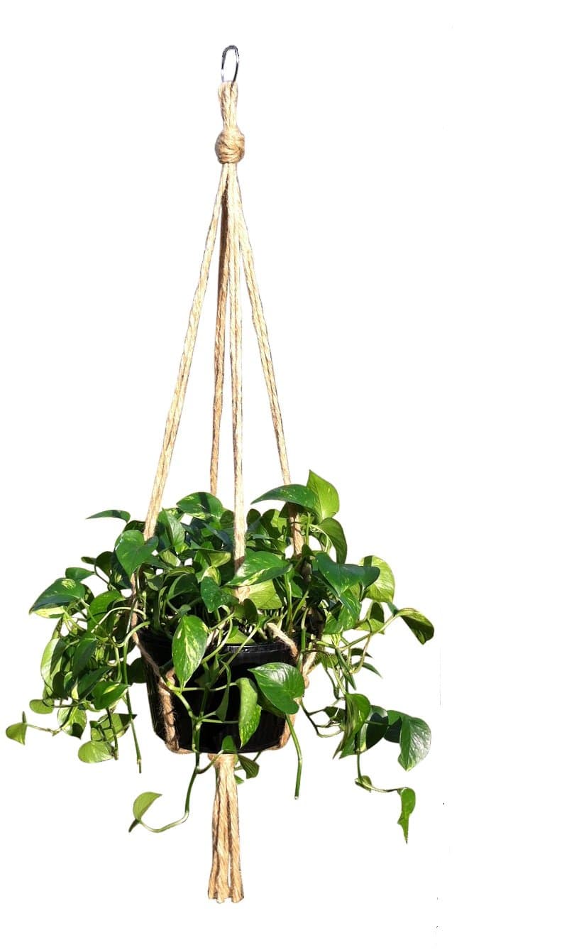 Plant Hanger Holders Large for Indoor and Outdoor Jute Rope 48 Inch
