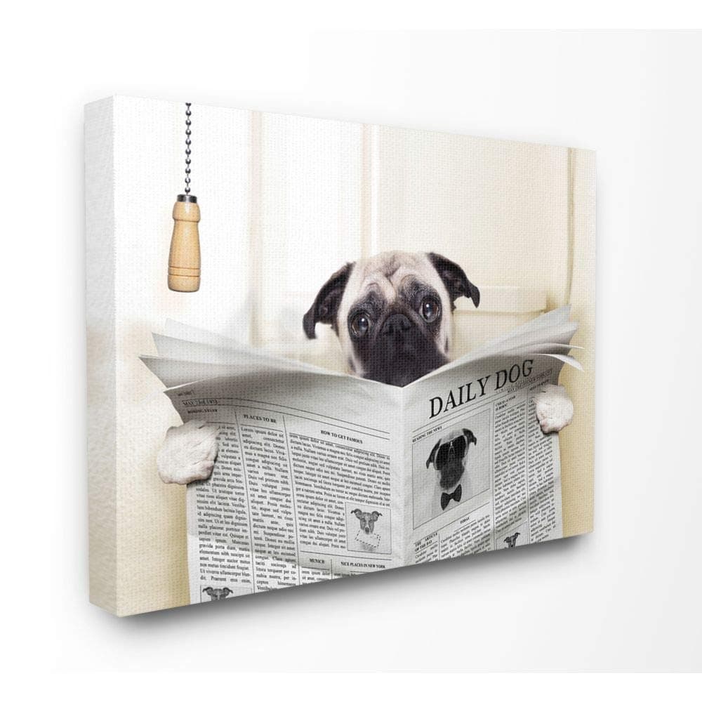 Stupell Industries Pug Reading Newspaper in Bathroom Stretched Canvas Wall Art, 16 x 1.5 x 20, Proudly Made in USA
