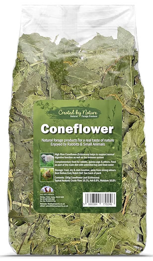 Coneflower (Echinacea - The Hay Experts): Natural forage for rabbits, guinea pigs, chinchillas & others