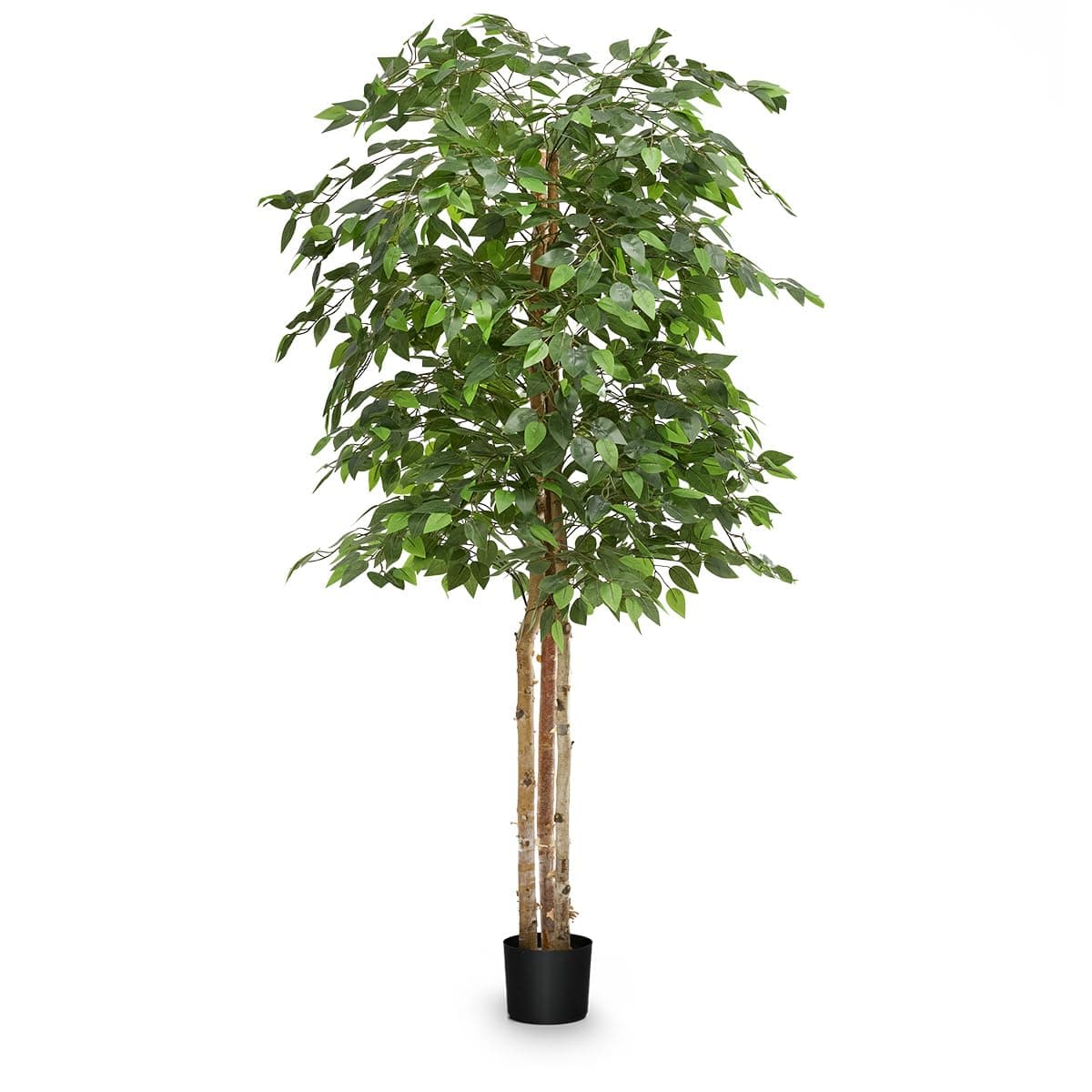 Maia Shop Artificial Ficus 6FT Tall, Fake with Natural Wood Trunk and Realistic Leaves, Faux Silk Plant Made with The Best Materials, Faux Potted for Home Decor Indoor, 71 inches