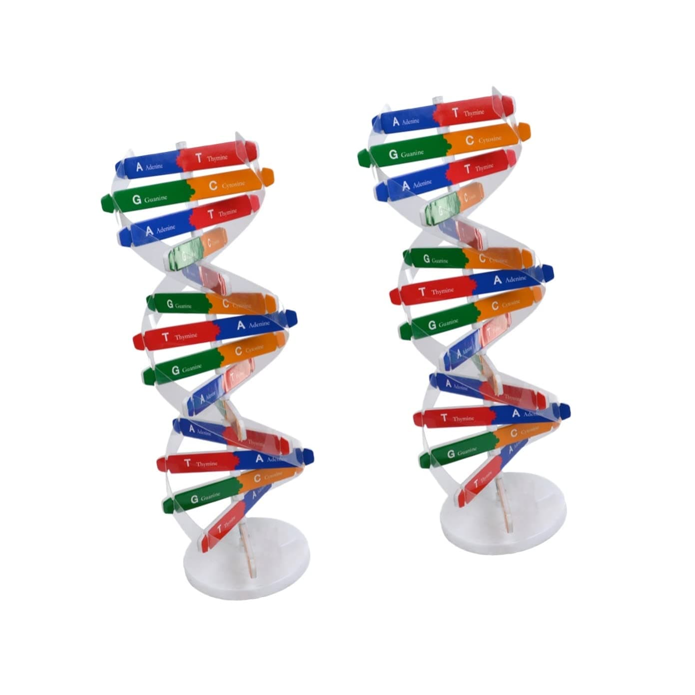 Toddmomy 2 sets Children Toys Dna Aid Double Science Toy Educational Components Teaching Helix Models Kids Human Scientific Assembly for Instrument Aids Model Genes Build