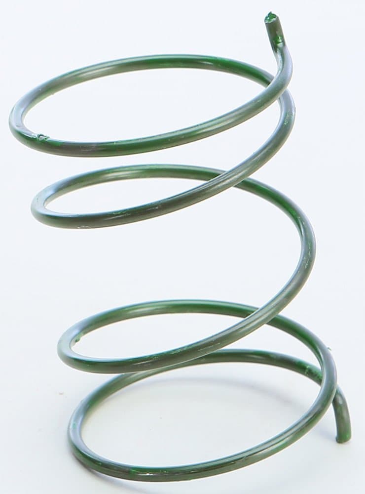 Comet 215699 Torque Converter Spring - Green