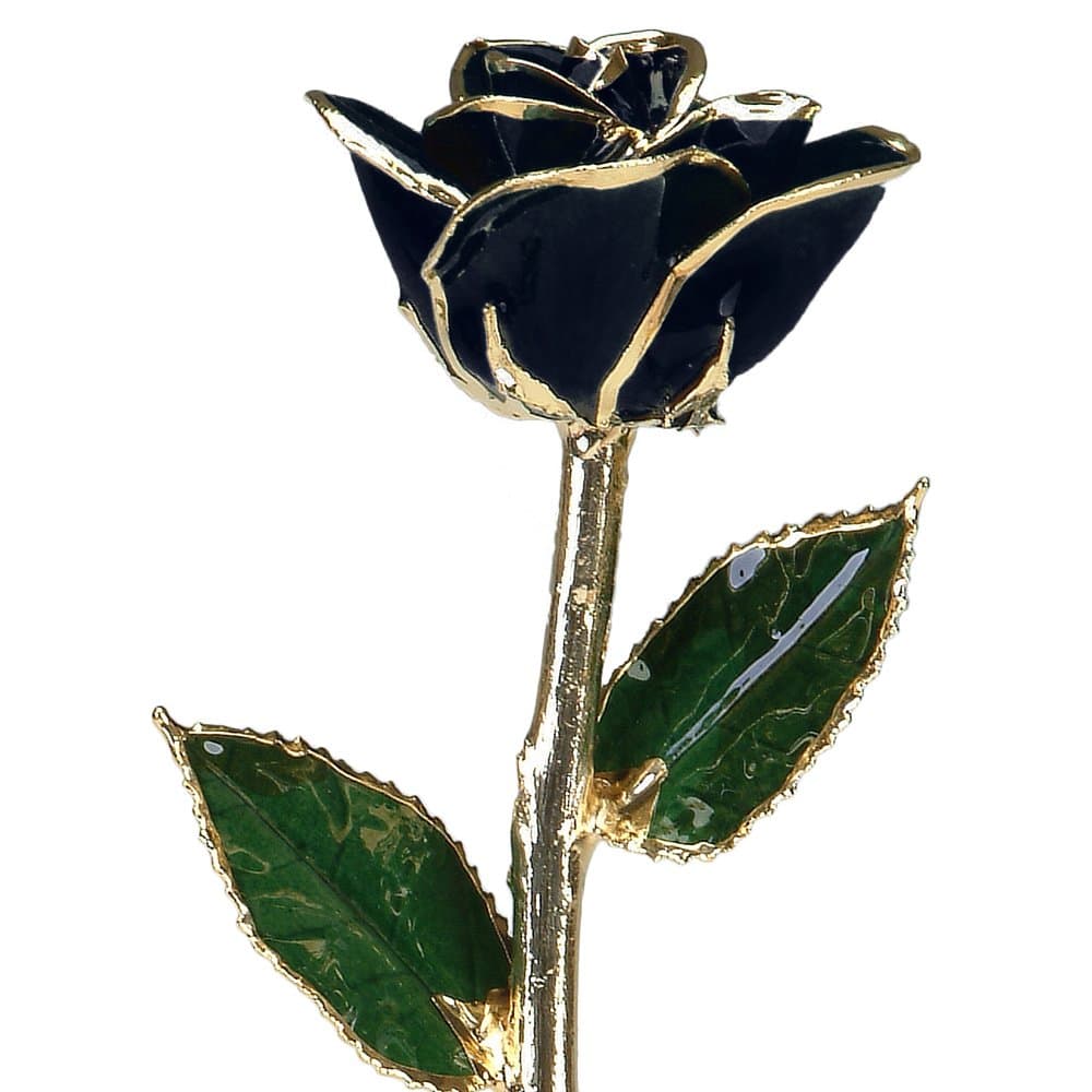 Black 24K Gold Dipped Rose - Real Rose Dipped in Gold - Gift Box Packed