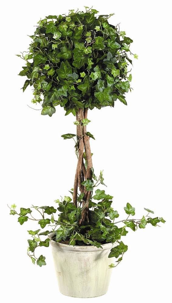 Tori Home Curily Plant Ivy Round Tree in Pot