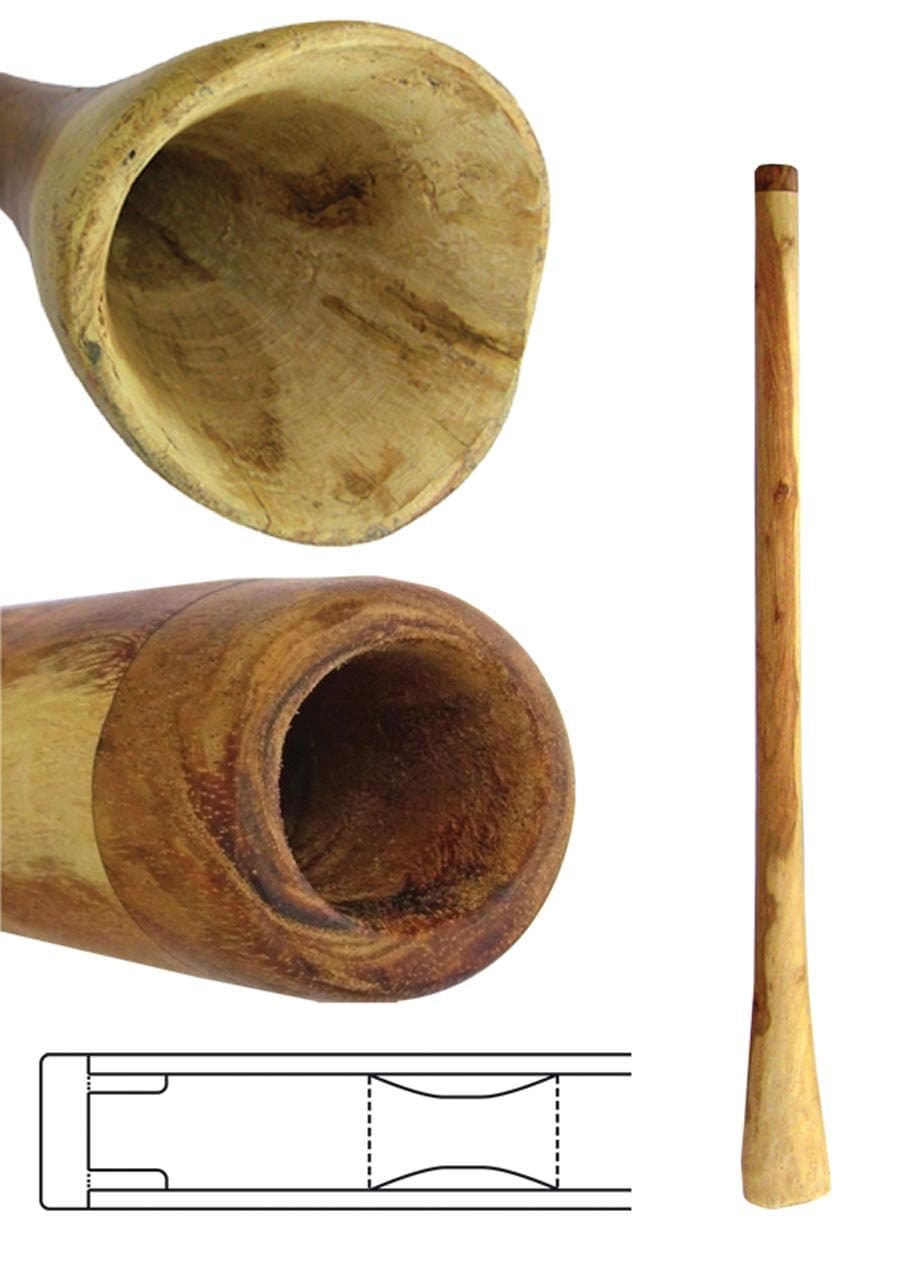 Handmade Didgeridoo Eucalyptus (50 inch)