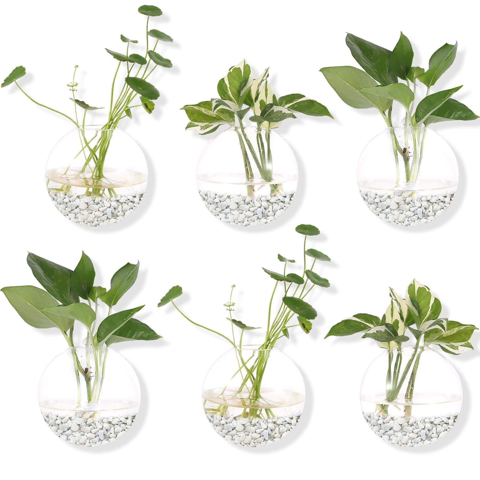 Hanging Wall Planters Pack of 6 Glass Planter Pots Round Glass Flower Vases Hanging Propagation Station Glass Plant Hanger Terrariums Wall Hanging Plant Container