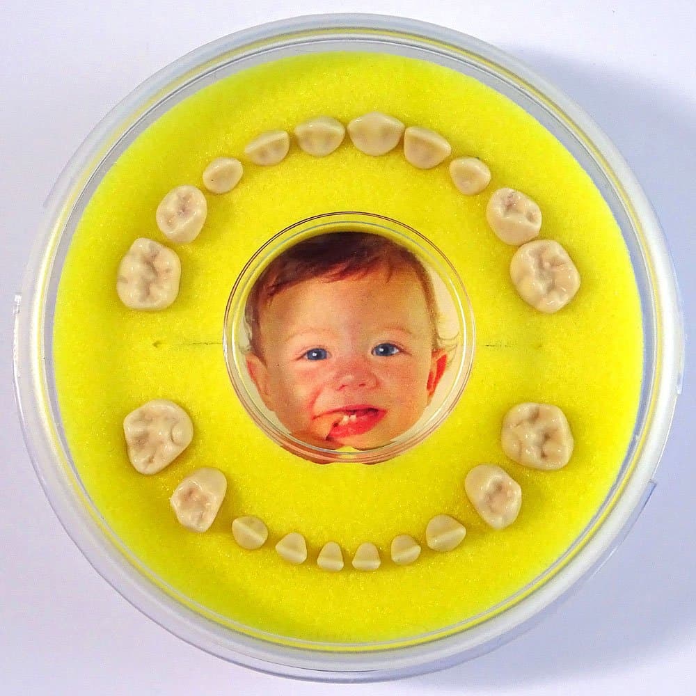 Baby Tooth Box (Yellow) (Baby, Toddler) - Firsty Round Magnetic - Including Fridge Magnet and Tooth Event Sticker - Ships Every Tuesday and Friday