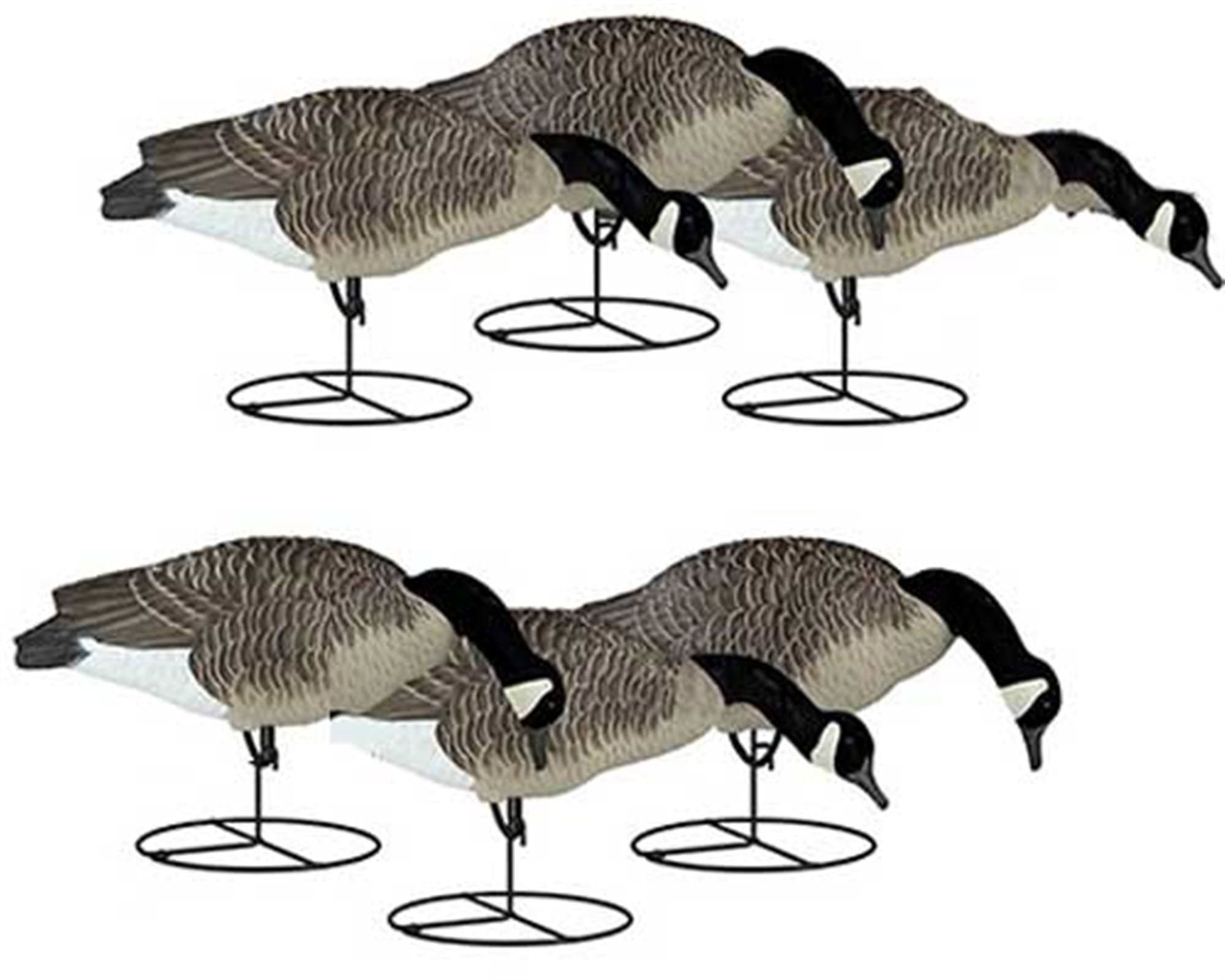 Dakota Decoy 1 Piece Canada Full Body Feeder - 6 Pack