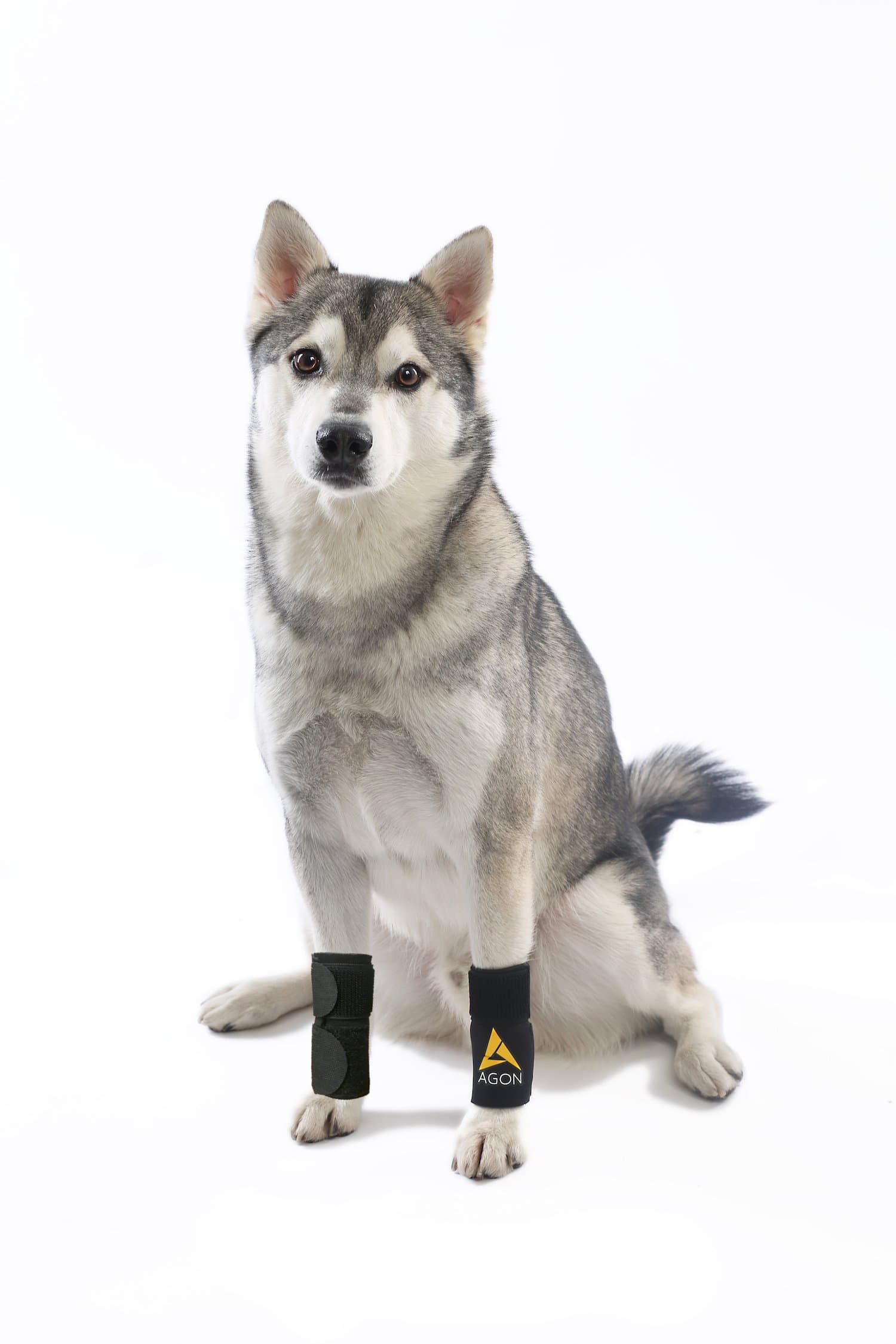 Agon PAIR Dog Canine Front Leg Brace Paw Compression Wraps with Protects